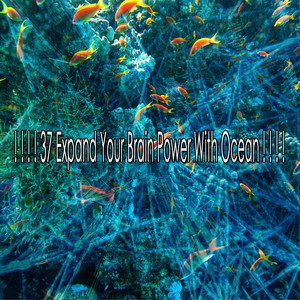 ! ! ! ! 37 Expand Your Brain Power With Ocean ! ! ! ! album