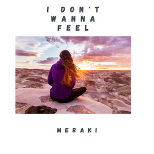 I Don't Wanna Feel by Meraki
