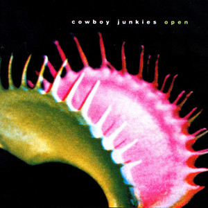 Open - Album by Cowboy Junkies | Spotify