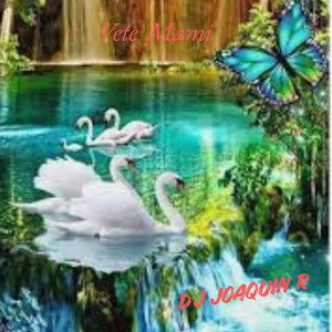 Vete Mami by Dj JoaquinR