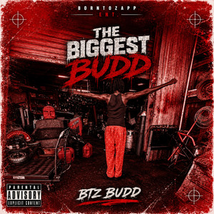 THE BIGGEST BUDD by btz.budd