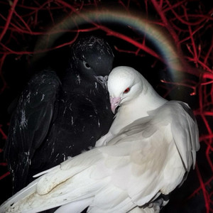 iilostjoy - Supa Geeked