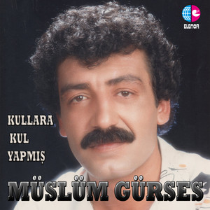 Müslüm Gürses - Unutursun Diye