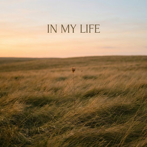 IN MY LIFE by hidezobb