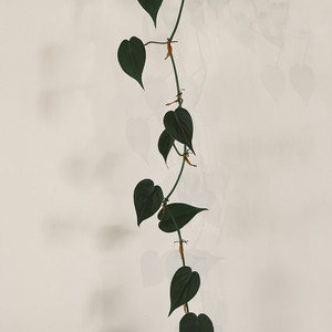 Remain in Me by Artur Deken