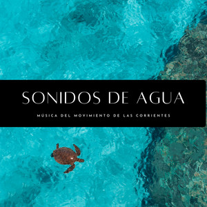 Sonidos De Agua: Música Del Movimiento De Las Corrientes album