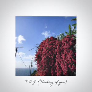 T.O.Y. (Thinking of you) by Fullempty