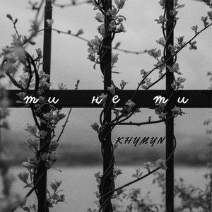 Ти не ти