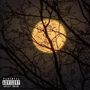 DAYDREAMING by Kurly Q