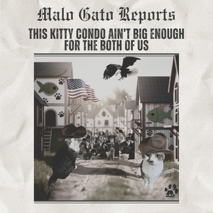 Malo Gato: Cat Covers - The Night We Meowed