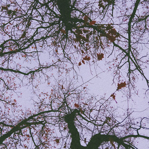 Tripping over You by lst drm
