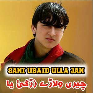 Sani Ubaid Ullah Jan - Cheri Wlarey Zargai yaa