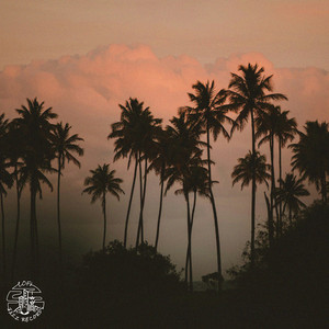 Feather Palms by CMJ