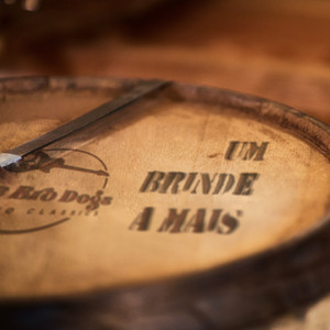 Um Brinde a Mais by The Bro Dogs