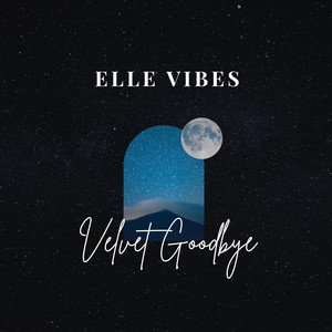 Velvet Goodbye by Elle Vibes