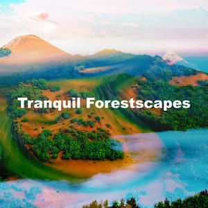 Tranquil Forestscapes