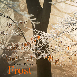 Frost