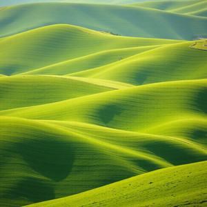 Lunévira Cardencília - Out of Your Reach