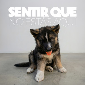 Sentir Que No Estás Aquí by VALLES