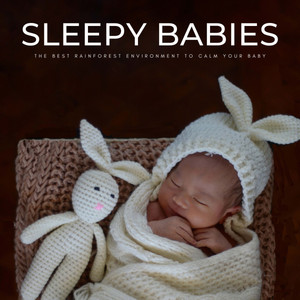 Sleepy Babies: The Best Rainforest Environment To Calm Your Baby album