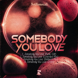 Somebody You Love - Radio Edit by NotNomourl