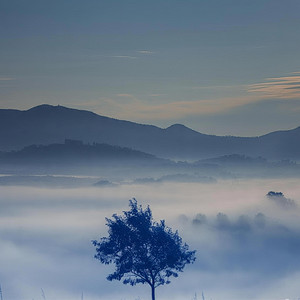 Kidd Santyy - Llueve (feat. Zell)