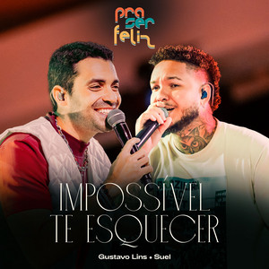 Impossível Te Esquecer (Ao Vivo)