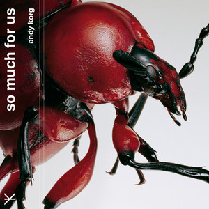 So Much For Us by Andy Korg