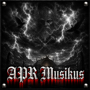 Solch Typen by APR Musikus