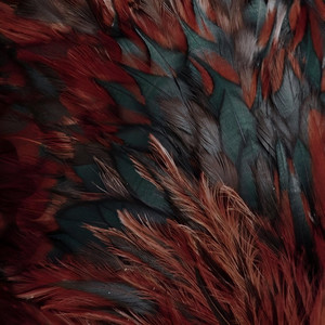 Quiet Soundwaves Studio - Our Daily Achievement