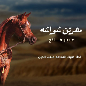 شيلة مهرتن شواشه by متعب الخيل