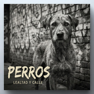 perros by Kathi Cad