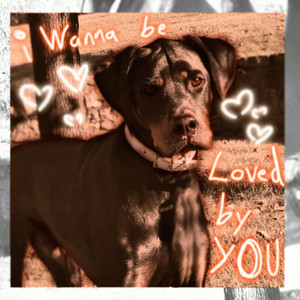 i wanna be loved by you (Jersey Club) by YtimalacRemixes