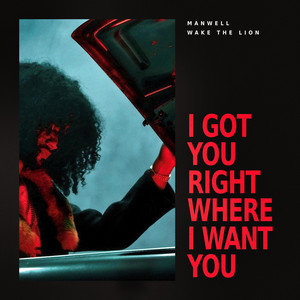 I Got You Right Where I Want You by Manwell, Wake The Lion