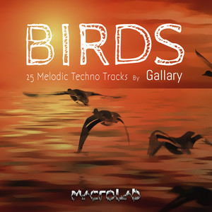 Gallary cover