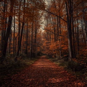 Melodic Memory Music by MALALEIPA