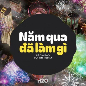H2O EDM & Lê Gia Bảo - Năm Qua Đã Làm Gì (EDM Remix)