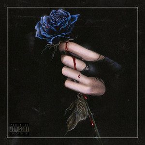 Dark Rose – Musik und Lyrics von BASHI | Spotify