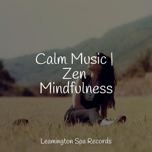 Calm Music | Zen Mindfulness album