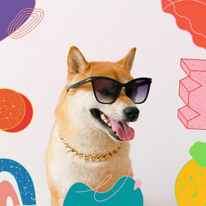 Feelings for Chilling Dogs album