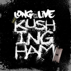 Skies the Limit - Instrumental by Kushingham Album Cover