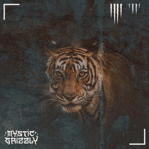 Tiger Flow by Mystic Grizzly