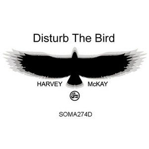 Disturb the Bird - Original cover art