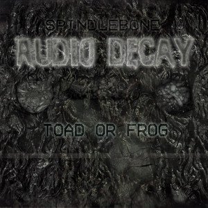 Toad Or Frog by Spindlebone