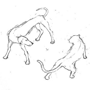 Dogs & Cats (Acoustic)