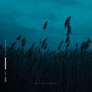 Обкладинка: wildflower - ultra slowed
