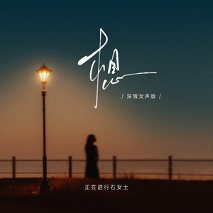 想 - 深情女声版伴奏 by 正在进行石女士