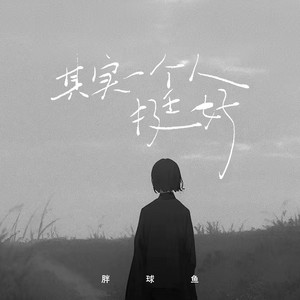 其实一个人挺好 - Dj彭锐版 by 胖球鱼, 彭锐