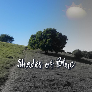 Shades of Blue by Kyle Reinhart, Larry Mitchell