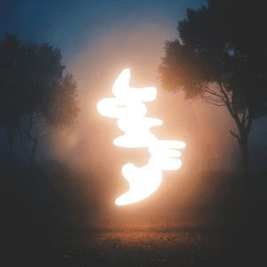 Losey by Gnoomes